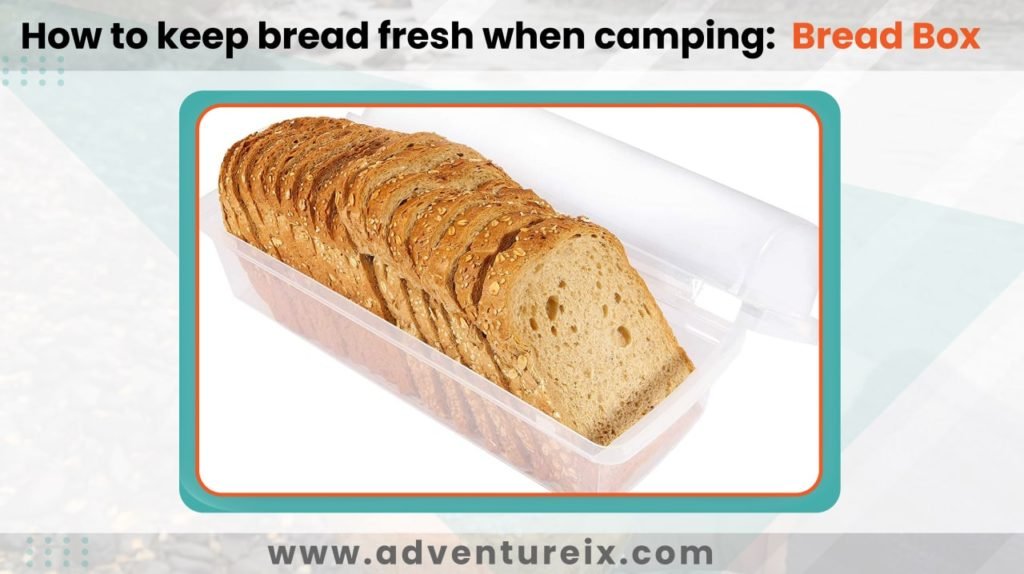 How to keep bread fresh when camping _ Breadbox