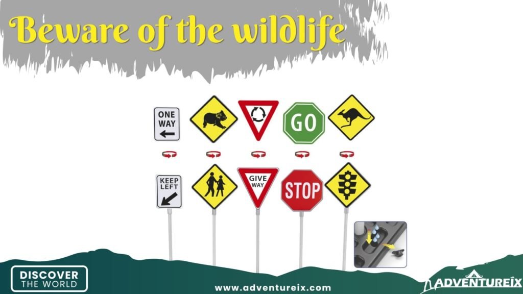How To Be An Adventurer - Beware of the Wild Animals