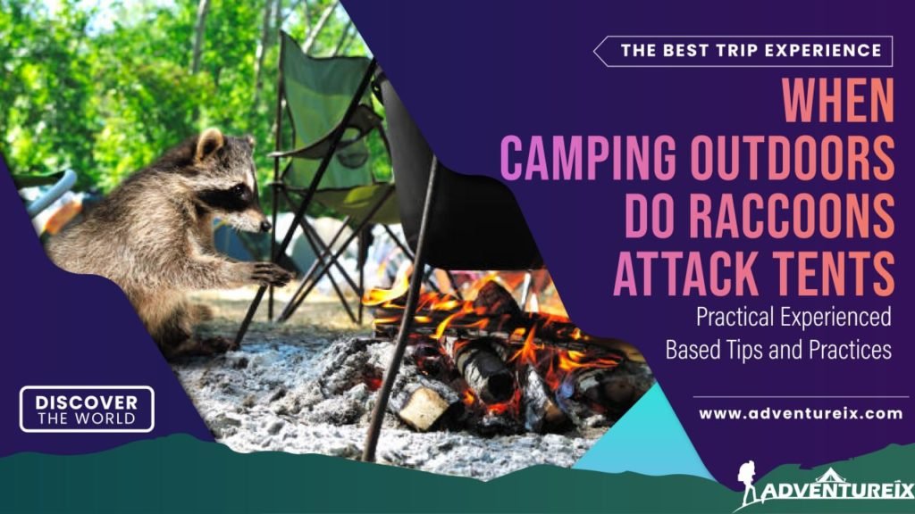 When Camping Outdoors Do Raccoons Attack Tents: Best Practices 2022