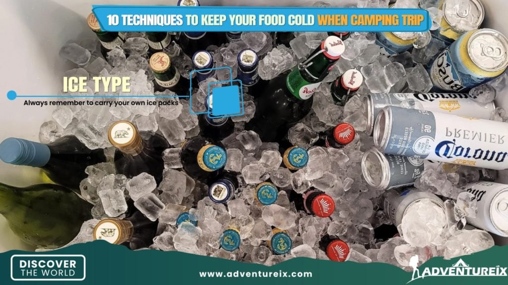 Keep Your Food Cold While Traveling _ Ice types